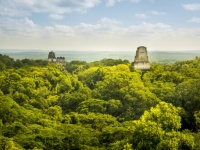 古代マヤには農地の巨大なネットワークが構築されていた。最新のライダー走査技術で明らかに