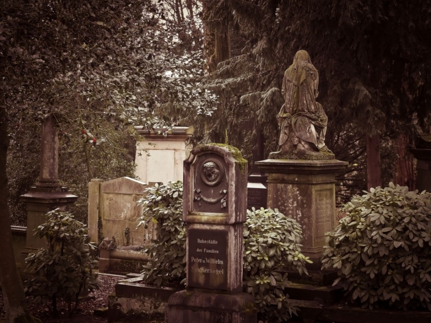 画像はイメージです