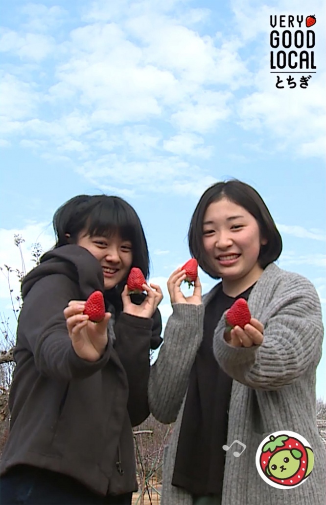 tochigitok8