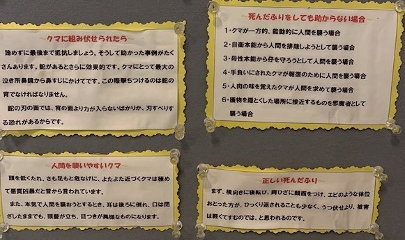クマに組み伏せられたら「諦めずに最後まで抵抗しましょう」。メン獄さん（＠uudaiy）のツイートより