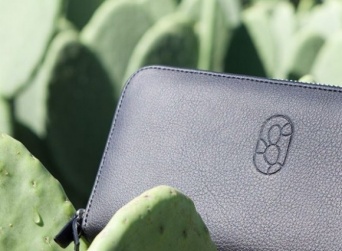 サボテンが革素材に「ヴィーガンレザー」が開発される（メキシコ）