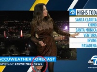 これはかわいい放送事故。天気予報士が自宅から生中継中赤ちゃん乱入のハプニング（アメリカ）