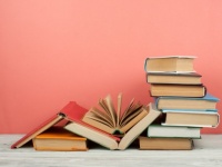 ふくろうの夢を見たら「勉強」したほうがいい理由