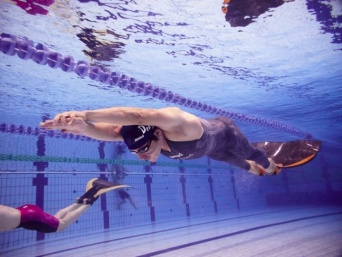 株式会社ミホロのプレスリリース画像