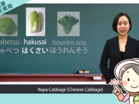 アテイン株式会社のプレスリリース画像