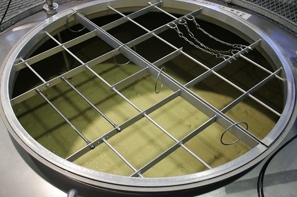 一次仕込みよりも、発酵の様子はゆるやか