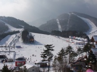 韓国・平昌の竜平スキーリゾート（「wikipedia」より）