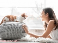 猫の飼い主は毎日平均7枚の写真を撮り、7割の人が「人間よりも猫といる方がリラックスできる」と回答（アメリカ）