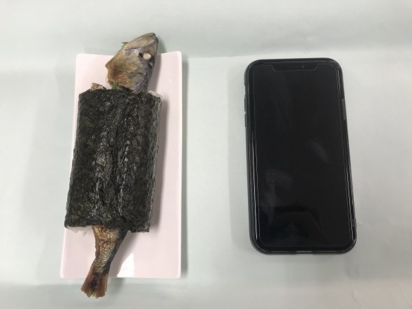 まるごといわし巻とiPhone XRの大きさ比較