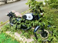バイクでも乗るか→ファッ！？　雑草が生い茂るピカピカ車体に驚愕、放置期間は意外にも...