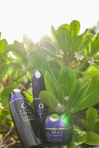 株式会社アイムのプレスリリース画像