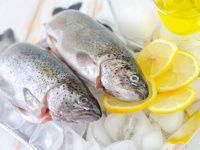 ​中国、冷凍した魚が泳ぎだす。本物orトリック？