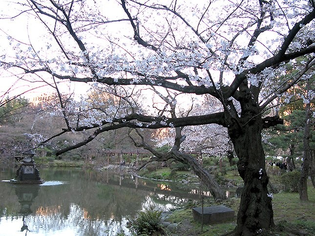 town20150327hibiya20.jpg