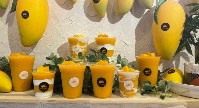 株式会社MANGOSTAR JAPANのプレスリリース画像