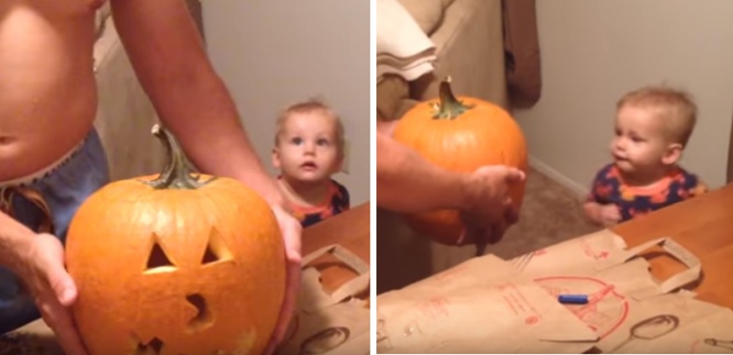 お父さんが一生懸命作ったハロウィン用カボチャのランタン、赤ちゃんに見せてみると･･･