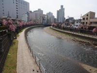 栃木県宇都宮市（画像はflickr