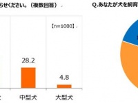 株式会社ナスタのプレスリリース画像