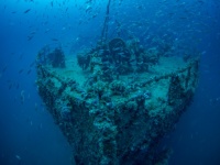 新種の生物に秘密基地、難破船にピラミッドなど、世界の海底に隠された10のミステリー