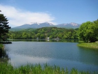 猪名湖（Qurren (talk) さん撮影、Wikimedia Commons