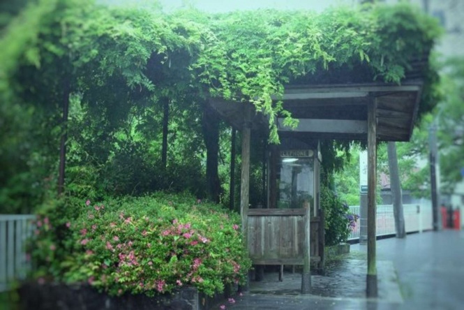 雨の降りしきるバス停で...（画像はイメージ）