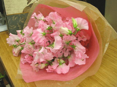 花のある生活っていいよね♪ ヒトリご褒美に綺麗な花のギフトプレゼントで家を彩っちゃおう!#3
