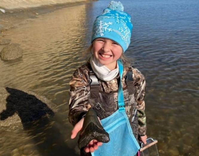 9歳少女が絶滅種の巨大サメ「メガロドン」の歯の化石を発見