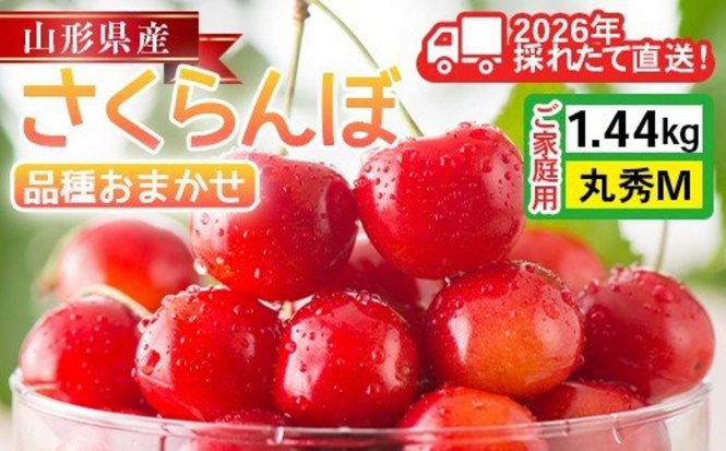 山形県 西川町「山形県産 さくらんぼ 品種おまかせ(佐藤錦・紅秀峰など) 1.44kg(180g×8P)」16000円（ふるさとチョイスより）