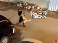 家に帰りたくないとごねるネコ、えっ？ネコ？