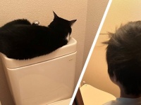 小1男児、トイレで待ち受ける「先客」に困惑　助けに駆け付けた母が見た光景がこちらです