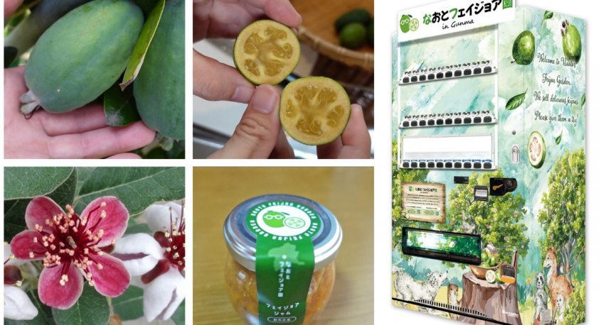 なおとフェイジョア園のプレスリリース画像