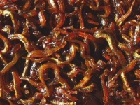 いかなごの釘煮（Wikimedia Commons