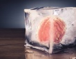 冷凍した人間の脳組織を解凍した後も正常に機能する技術開発に成功