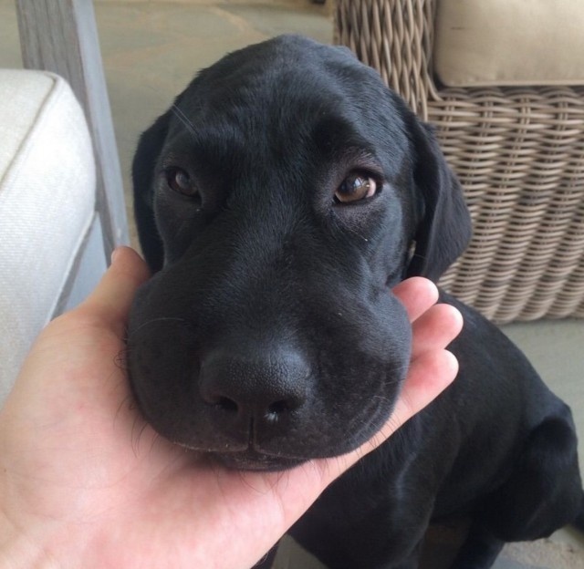 スクリーンショット 2016-04-24 19.59.41