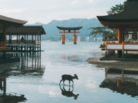 ことり（＠kosan_055）さんの投稿より、再掲