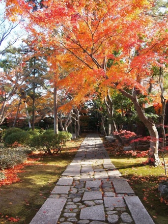 桑名市のプレスリリース画像