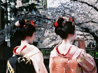 京都の街並み（kate nevさん撮影、Flickrより）