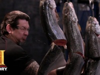 人気番組「刀剣の鉄人」で切り刻まれた肉はその後どうなるのか？スタッフがおいしくいただいているのか？