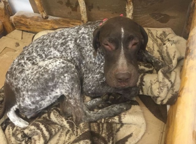 スクリーンショット 2016-04-24 19.59.33