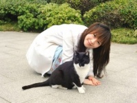「きゃー、かわいい～！」と言う女子があざといと思う男性⇒●％