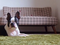 絶対に見られてはいけない！　男子が家に来るとき、女子が隠すモノ6つ