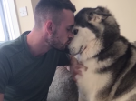 ついテレビに気を取られる飼い主に“かまって”アピールをするハスキー犬が可愛い