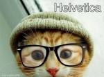 よく使うフォントを『猫』に置き換えてみたらこうなった！２０選