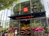 自己肯定感、爆上げ。アラサー女子が青山フラワーマーケットでめちゃくちゃ褒められた話