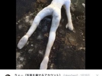 ＠dora1gon2さんのツイッターより