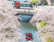 いろんなタイミングがバッチリ！　「富山の本気」追い続ける写真家も興奮した春の絶景「凄い瞬間が撮れてしまった」