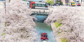 いろんなタイミングがバッチリ！　「富山の本気」追い続ける写真家も興奮した春の絶景「凄い瞬間が撮れてしまった」