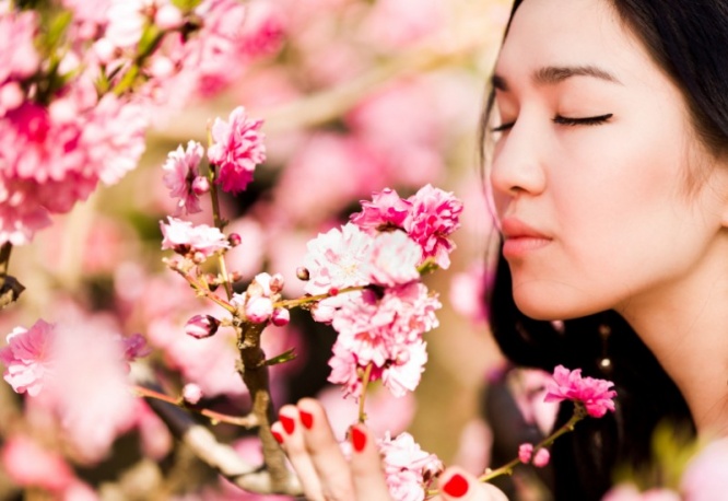 iStock_000019148647_Small