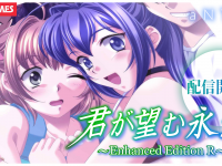 株式会社デジタルコマースのプレスリリース画像