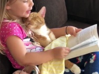 今日はどんなお話が聞きたい？ヒザの上で眠る猫に読み聞かせをする少女