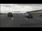 高速道路をハトが飛ぶ！　そのスピード、なんと「時速１００キロ」！？